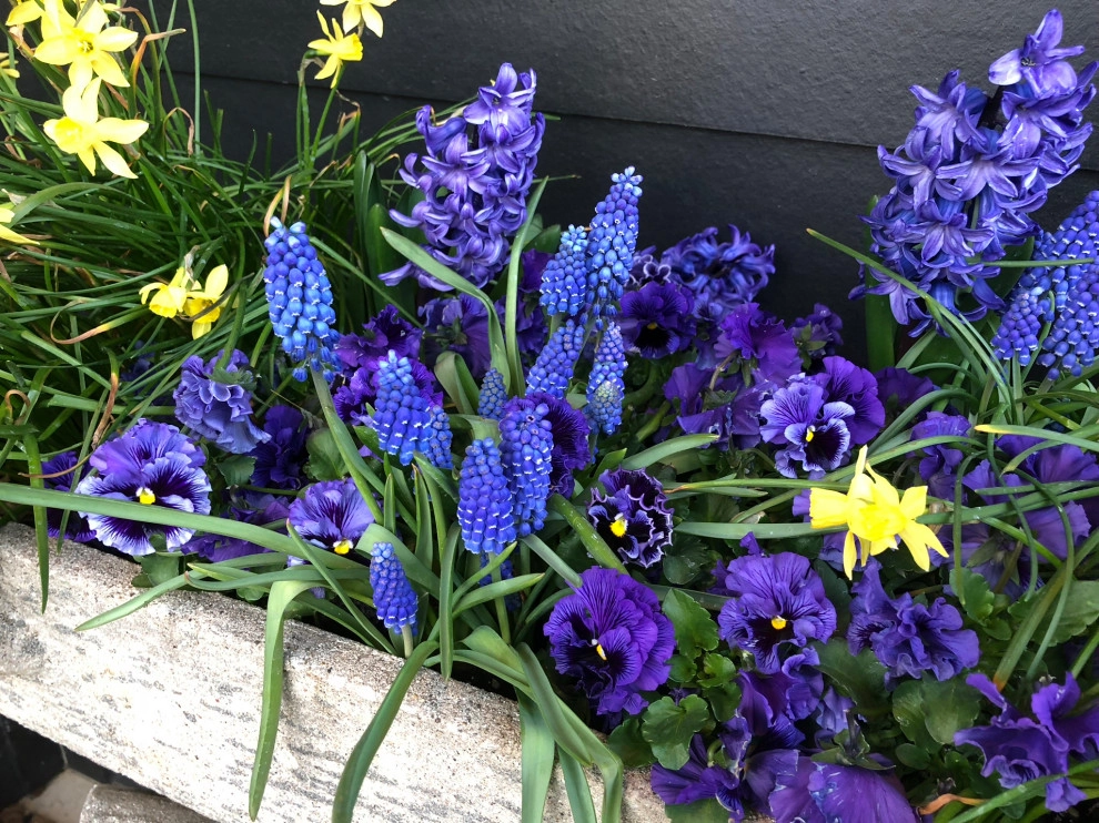 CONTAINERS by McCullough's Landscape & Nursery - Photo 6