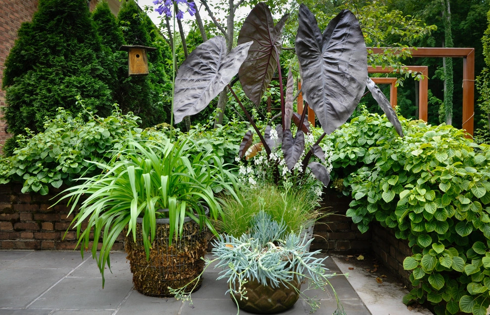 CONTAINERS by McCullough's Landscape & Nursery - Photo 80