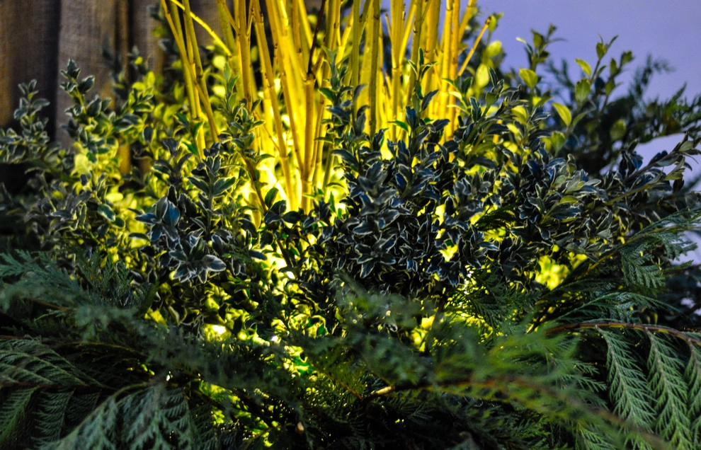 HOLIDAY DECORATING by McCullough's Landscape & Nursery - Photo 21