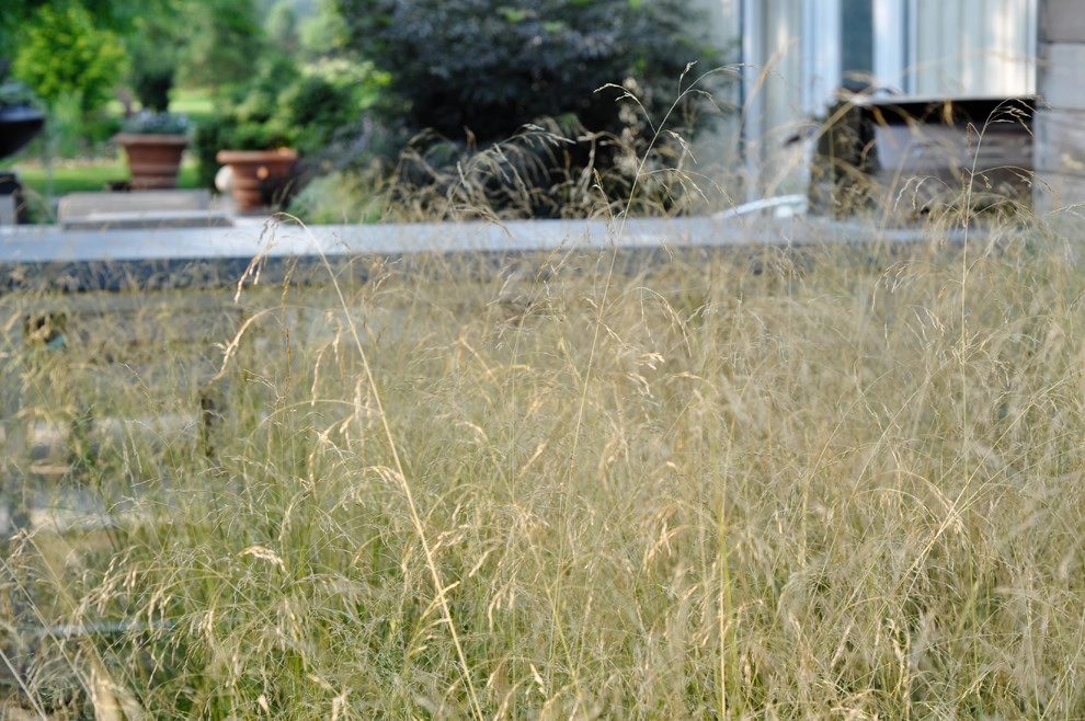Red Twig Farms by McCullough's Landscape & Nursery - Photo 10