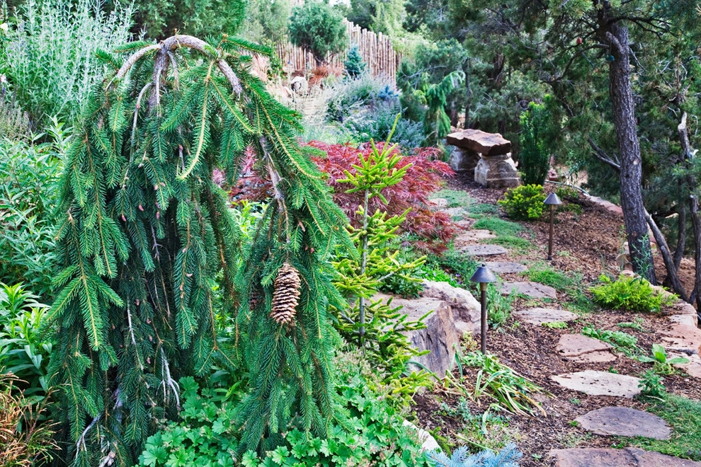 McCumber Fine Gardens - Photo 14
