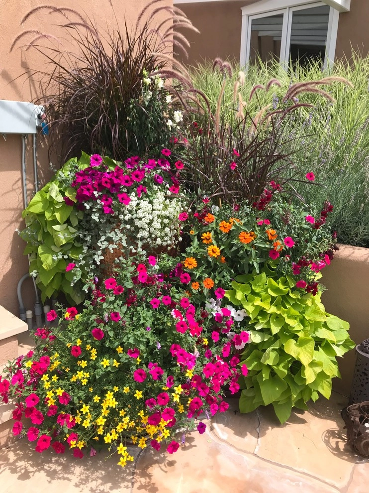 Santa Fe by McCumber Fine Gardens - Photo 7