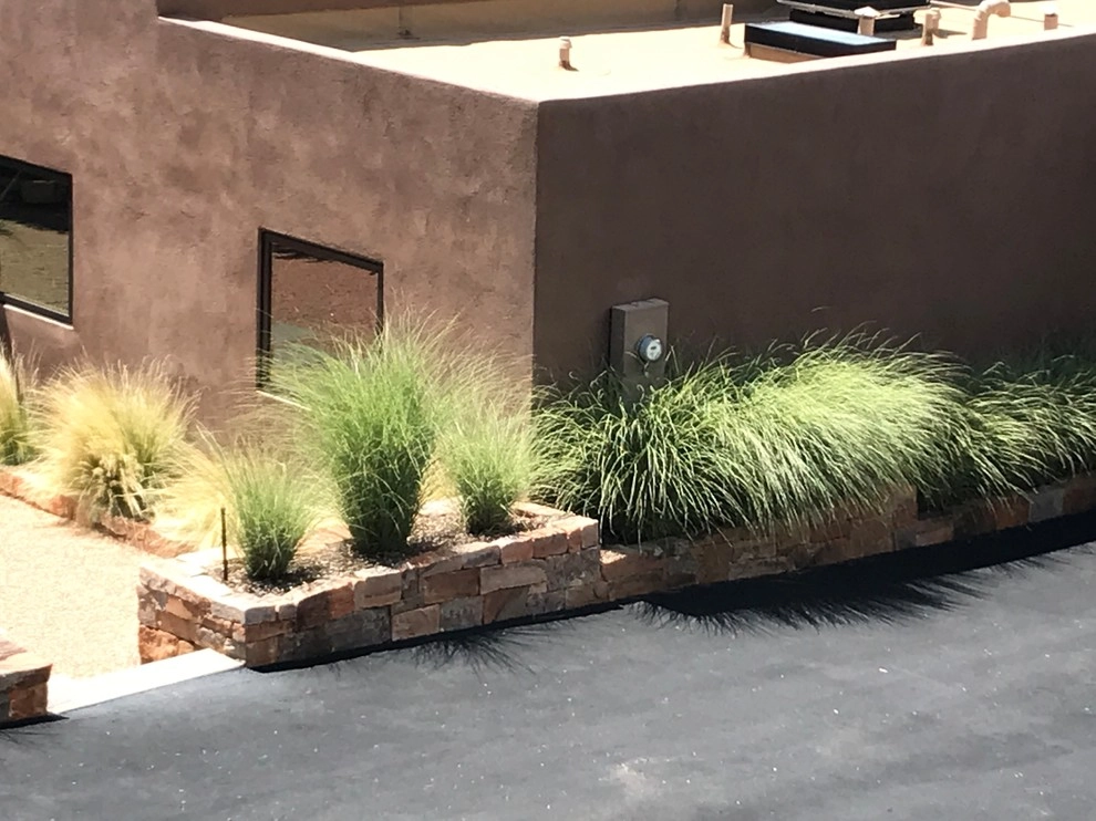Santa Fe by McCumber Fine Gardens - Photo 4