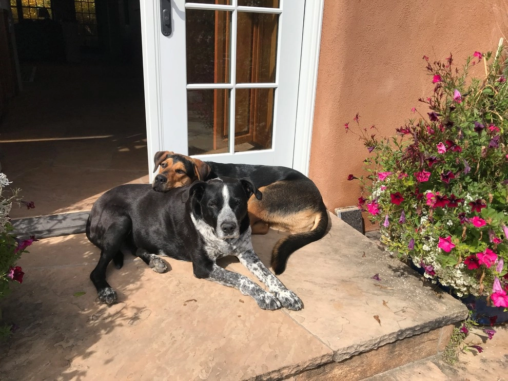 Santa Fe by McCumber Fine Gardens - Photo 2