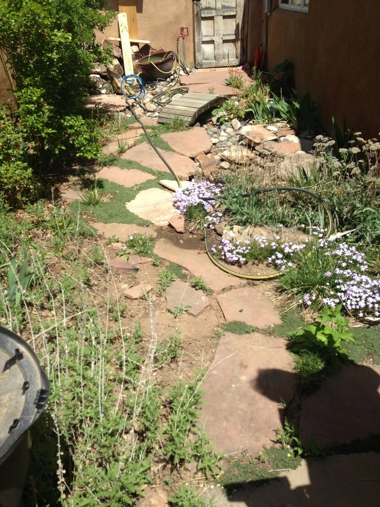 Contemporary Courtyard by McCumber Fine Gardens - Photo 3
