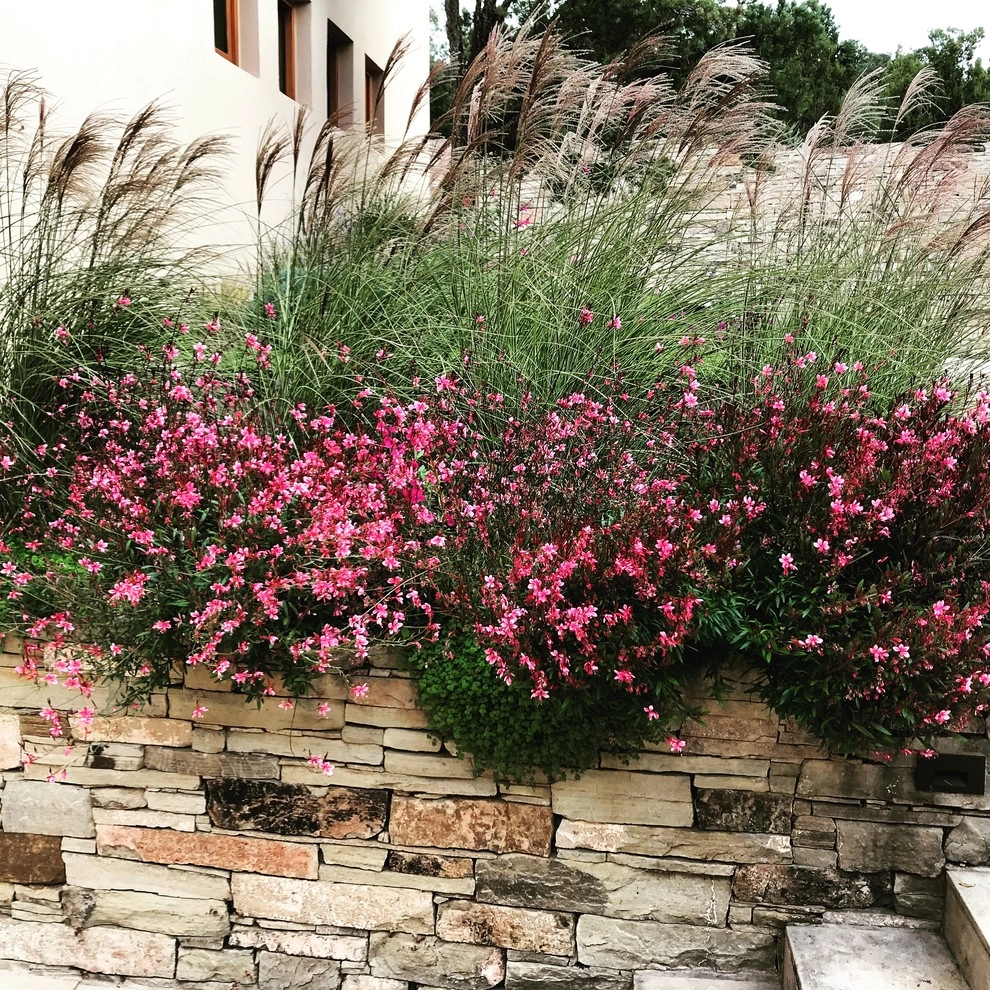 Santa Fe by McCumber Fine Gardens - Photo 6