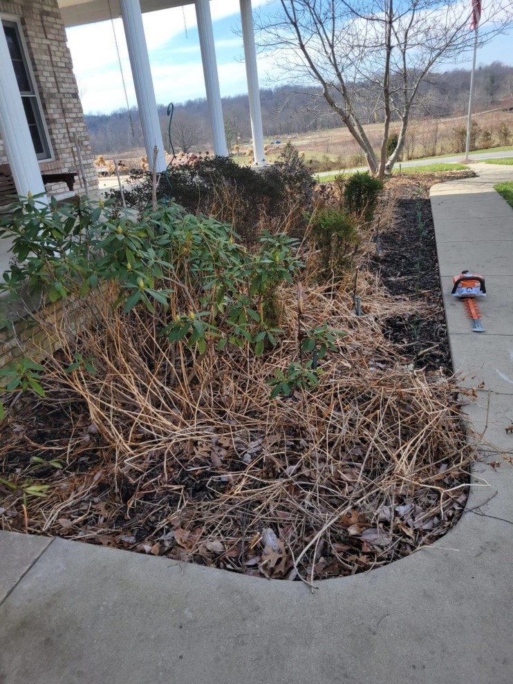 Alberto Alavez Professional Lawn Services LLC 12 by Alberto Alavez Professional Lawn Services LLC - Photo 8