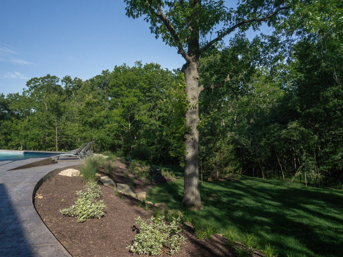 Relaxing Wooded Patio with Pool by Meier Landscape Architecture - Photo 6