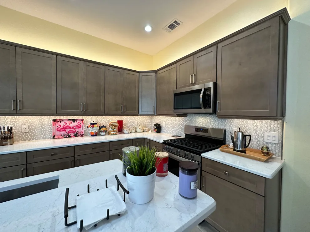 Tampa Buckskin Cabinets by The Bath And Kitchen Gallery, Inc. - Photo 7