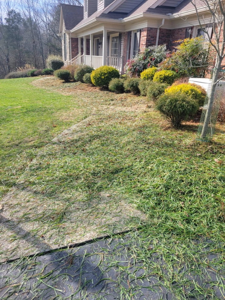 Alberto Alavez Professional Lawn Services LLC 10 by Alberto Alavez Professional Lawn Services LLC - Photo 6