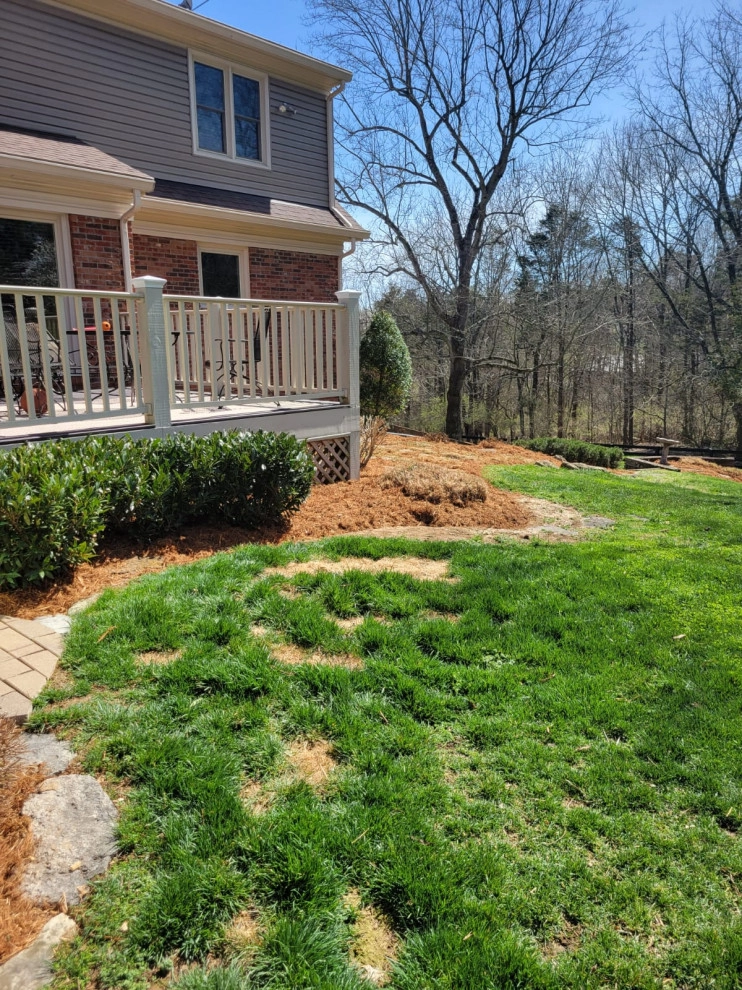 Alberto Alavez Professional Lawn Services LLC 10 by Alberto Alavez Professional Lawn Services LLC - Photo 8