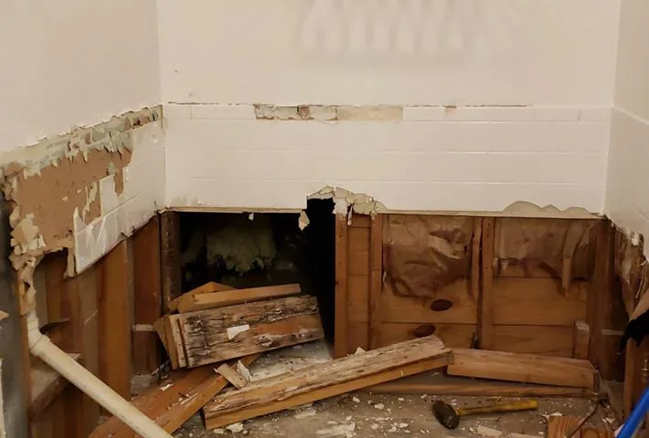 Bathroom Renovation in the Bush by Hallowed Ground Home Improvement LLC - Photo 13