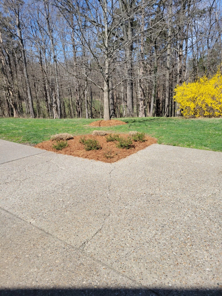 Alberto Alavez Professional Lawn Services LLC 10 by Alberto Alavez Professional Lawn Services LLC - Photo 4