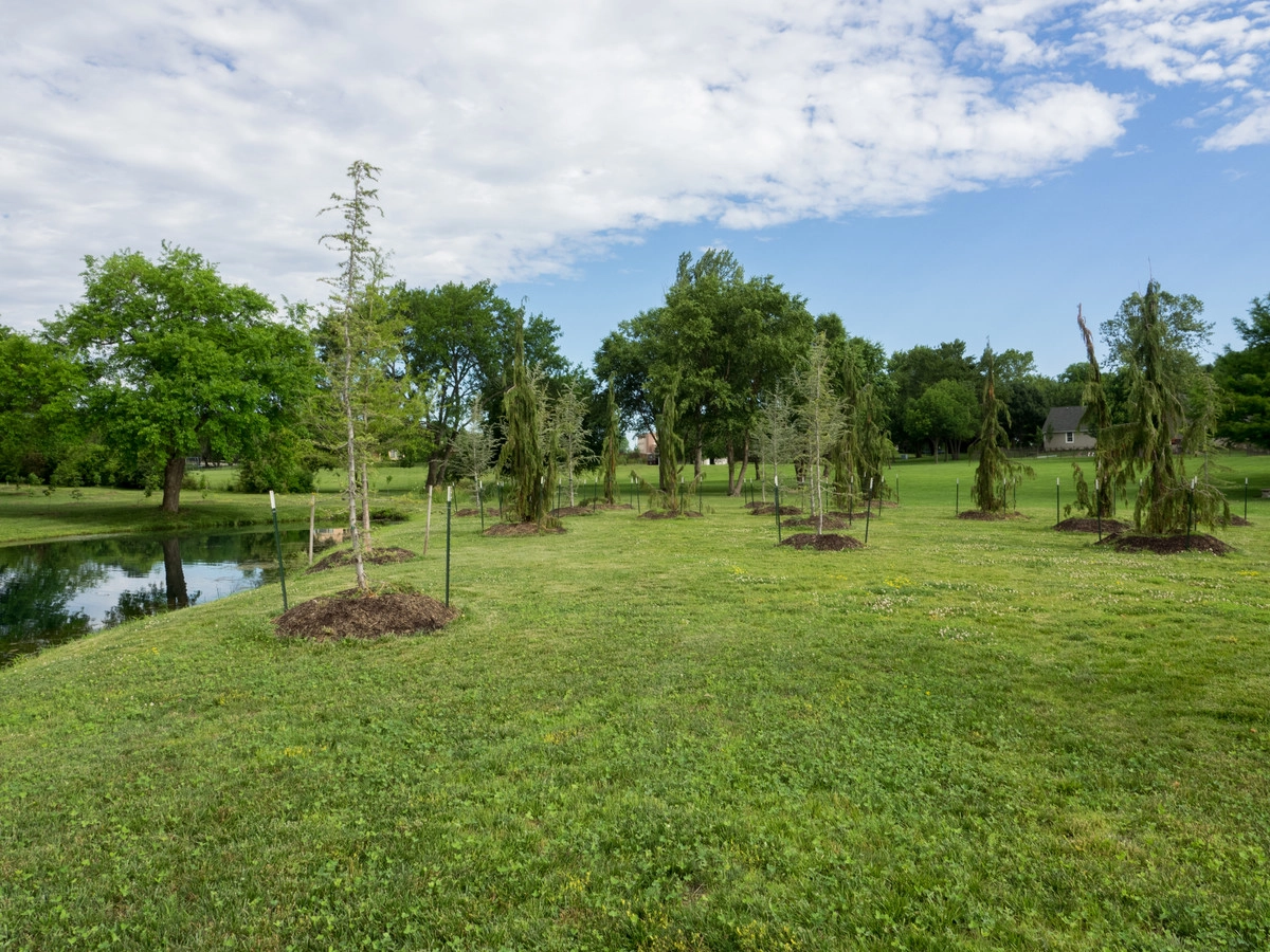 Tranquil Private Lake in Overland Park by Meier Landscape Architecture - Photo 4