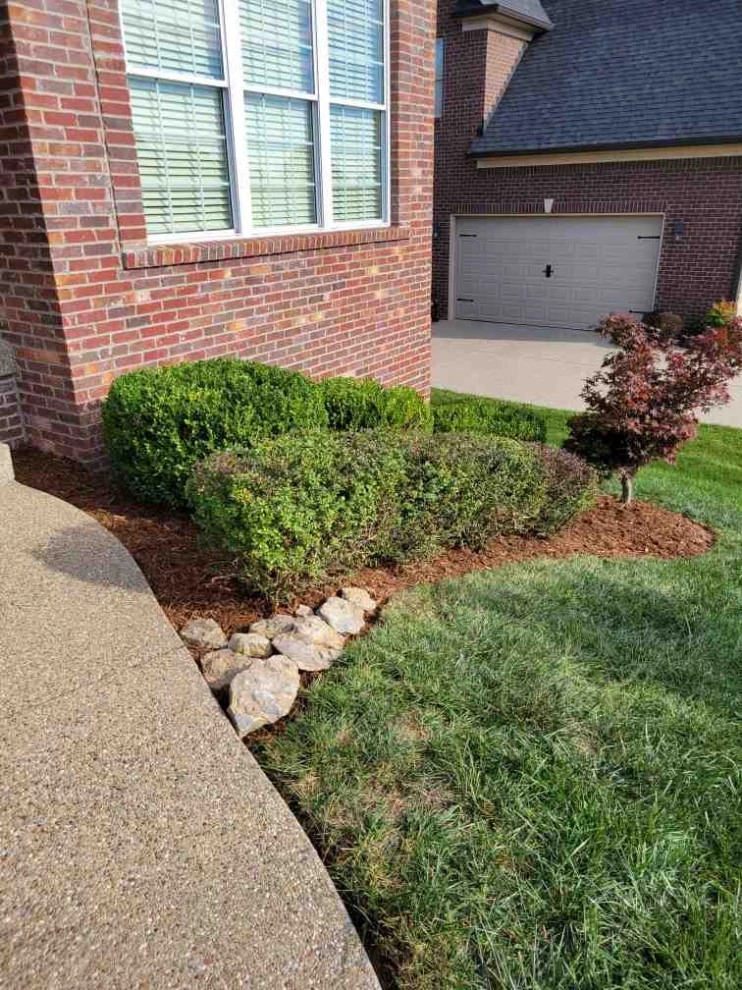 Alberto Alavez Professional Lawn Services LLC 6 by Alberto Alavez Professional Lawn Services LLC - Photo 19