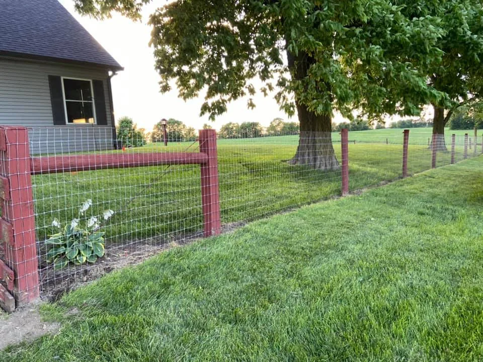 My Initiative by Mean Green Contracting & Excavation LLC - Photo 13