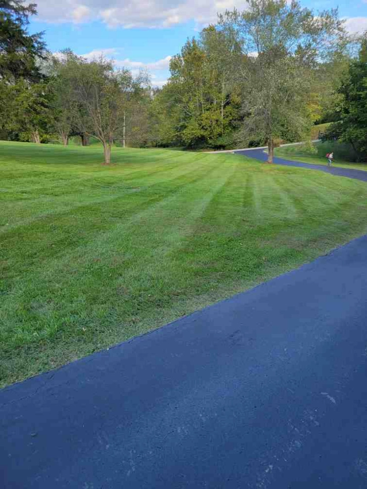 Alberto Alavez Professional Lawn Services LLC 6 by Alberto Alavez Professional Lawn Services LLC - Photo 27