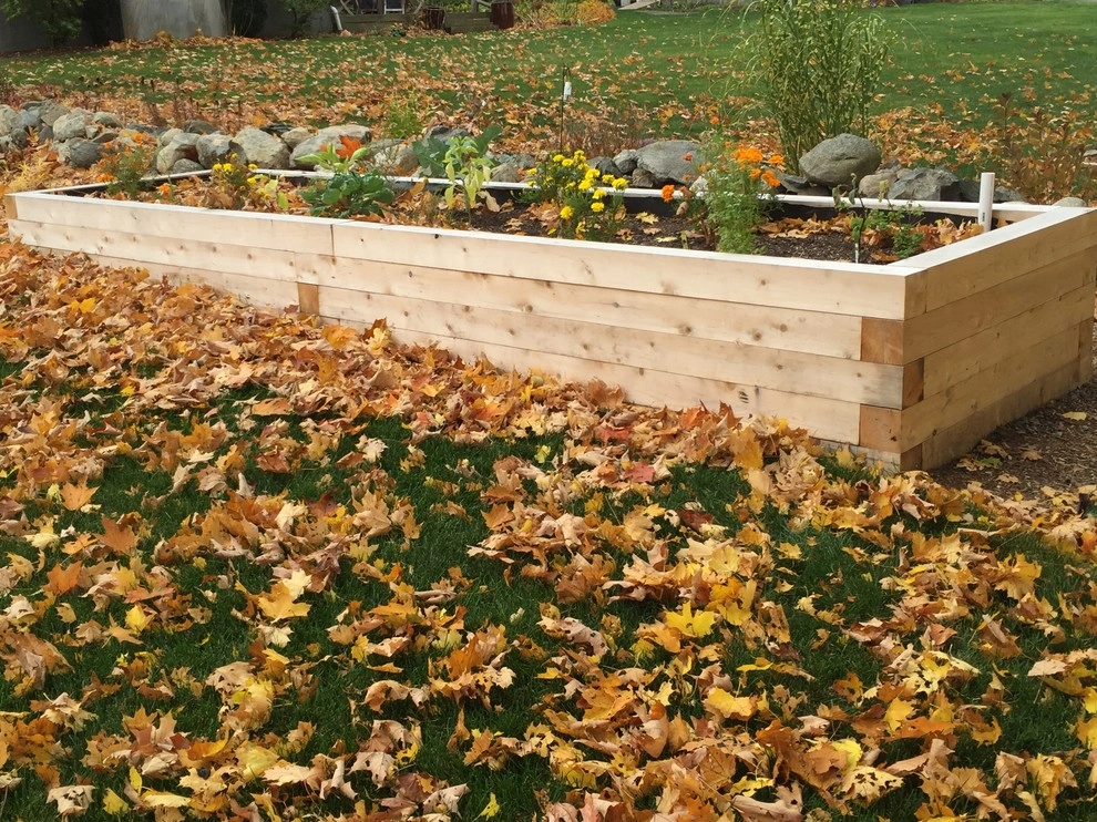 Belmont Family Home by Melissa MacDonald, Landscape Architect - Photo 6