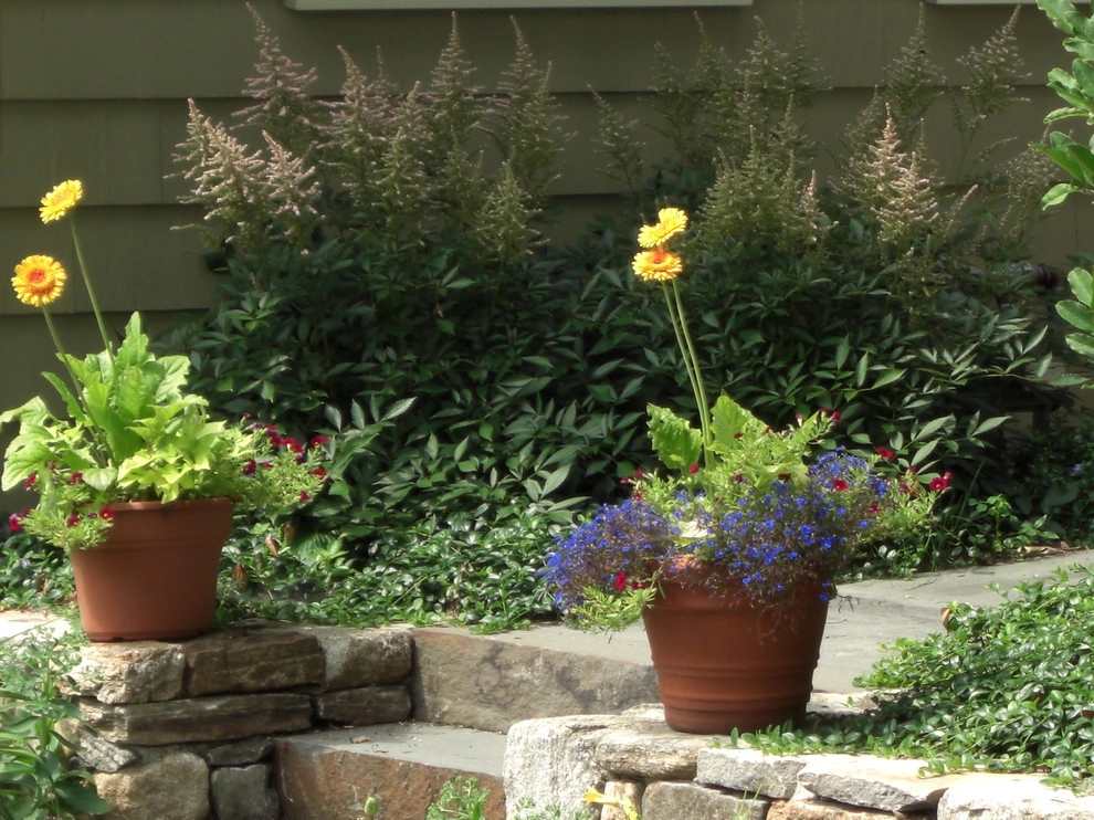Lexington Woodside by Melissa MacDonald, Landscape Architect - Photo 6
