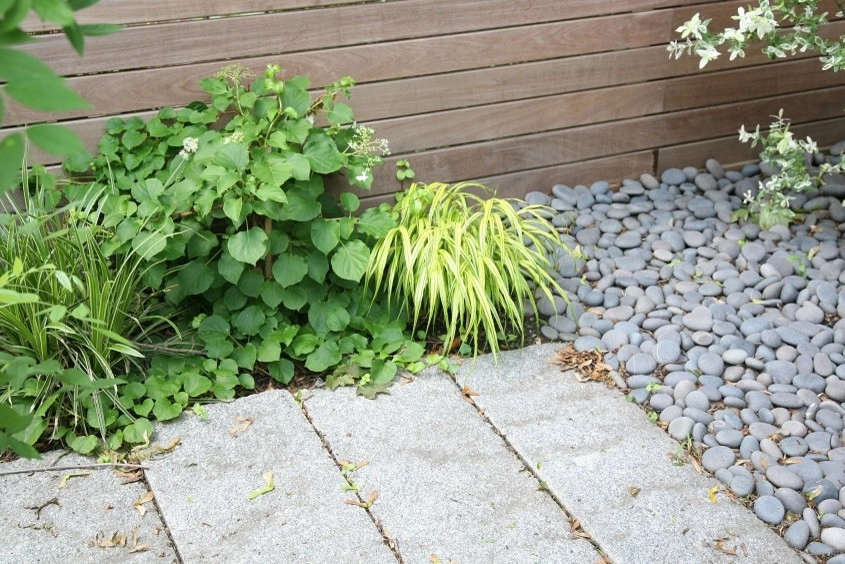 Somerville Bamboo and Ipe Sanctuary by Melissa MacDonald, Landscape Architect - Photo 4