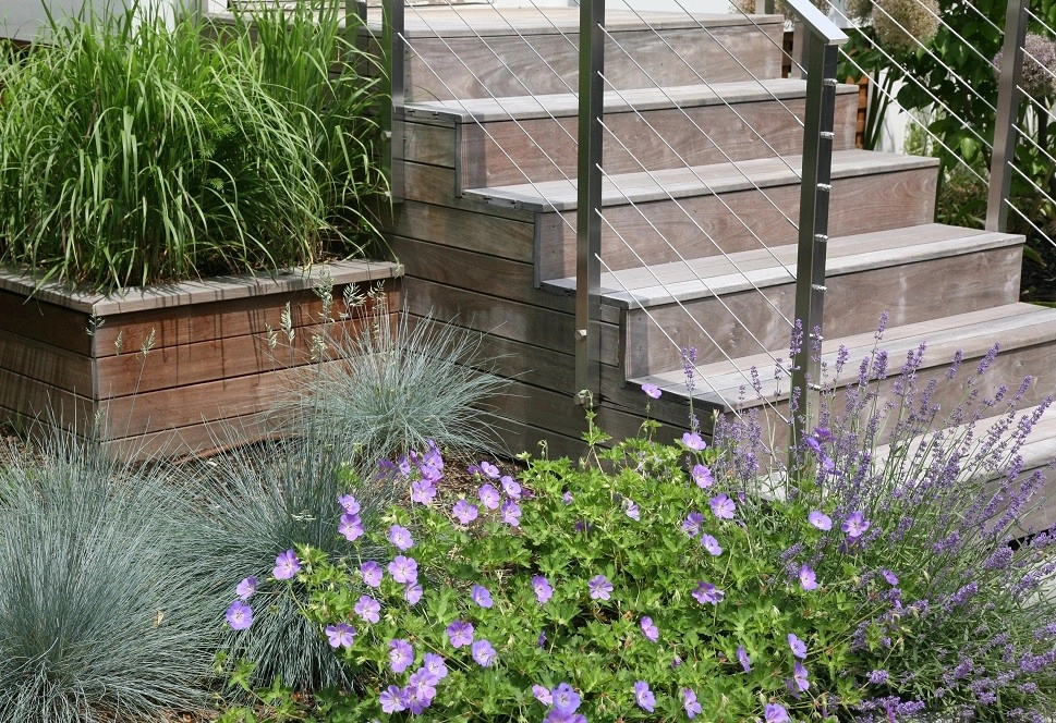 Somerville Bamboo and Ipe Sanctuary by Melissa MacDonald, Landscape Architect - Photo 9
