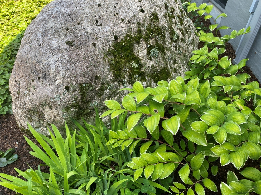 Lincoln MCM by Melissa MacDonald, Landscape Architect - Photo 17