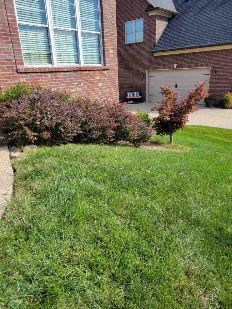 Alberto Alavez Professional Lawn Services LLC 6 by Alberto Alavez Professional Lawn Services LLC - Photo 24