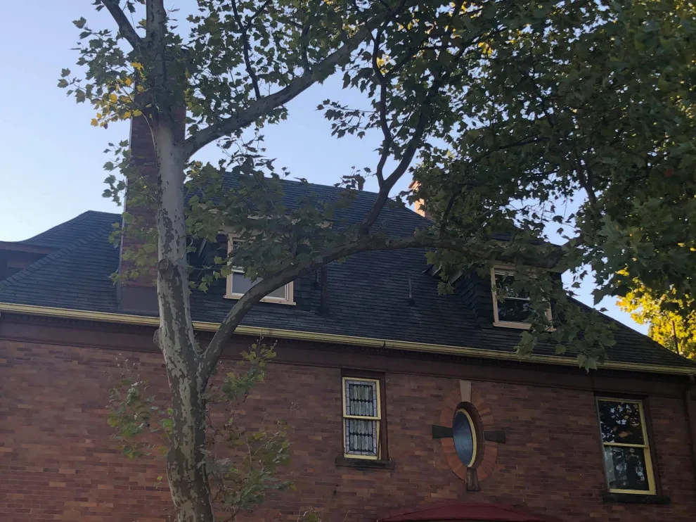 Finished Tasks by Forest Knoll Construction - Photo 22