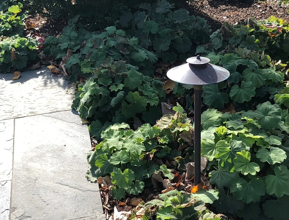Arthur Astor Carey House, Cambridge by Melissa MacDonald, Landscape Architect - Photo 7