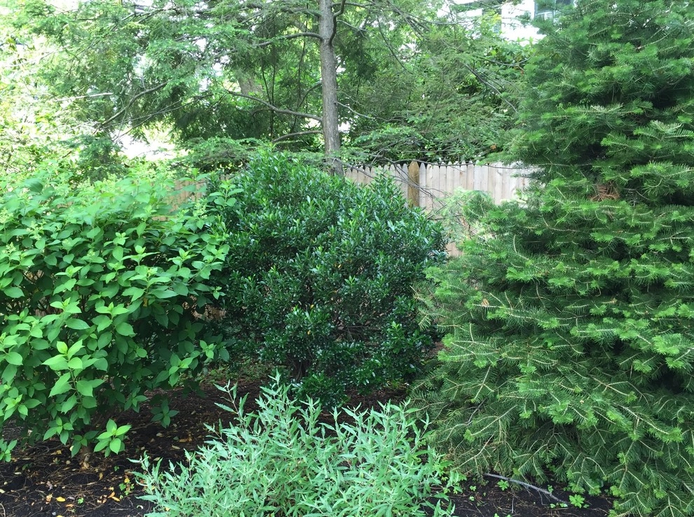 Melissa MacDonald, Landscape Architect - Photo 12