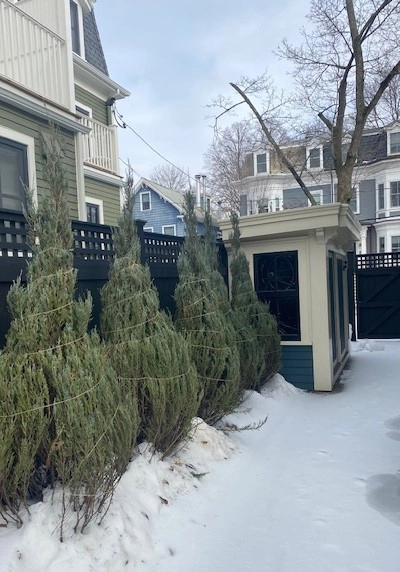 Avon Hill by Melissa MacDonald, Landscape Architect - Photo 3