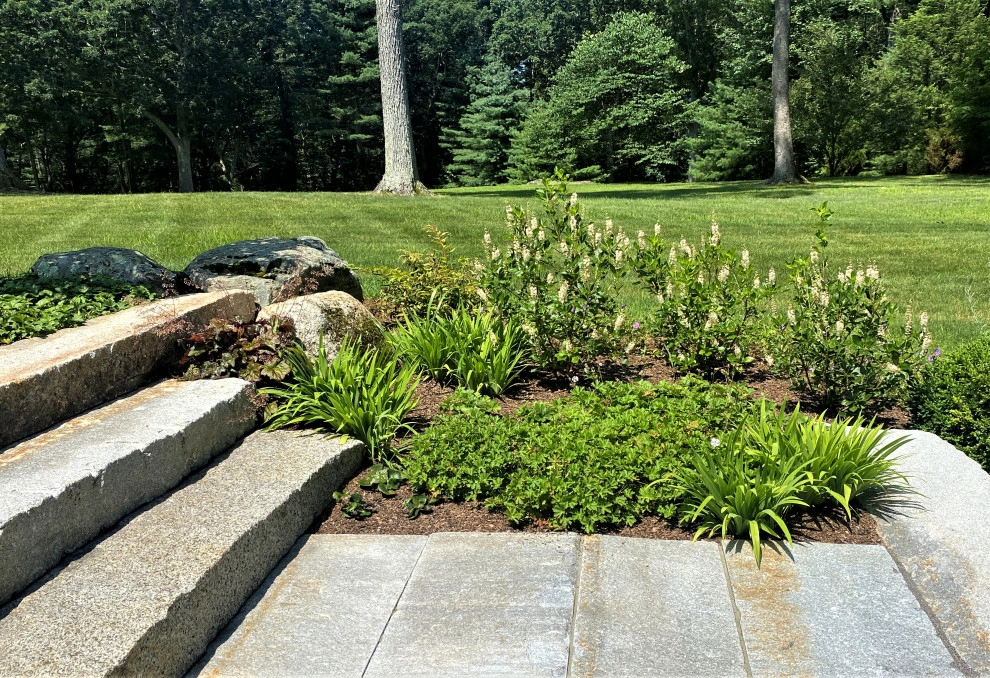 Lincoln MCM by Melissa MacDonald, Landscape Architect - Photo 11