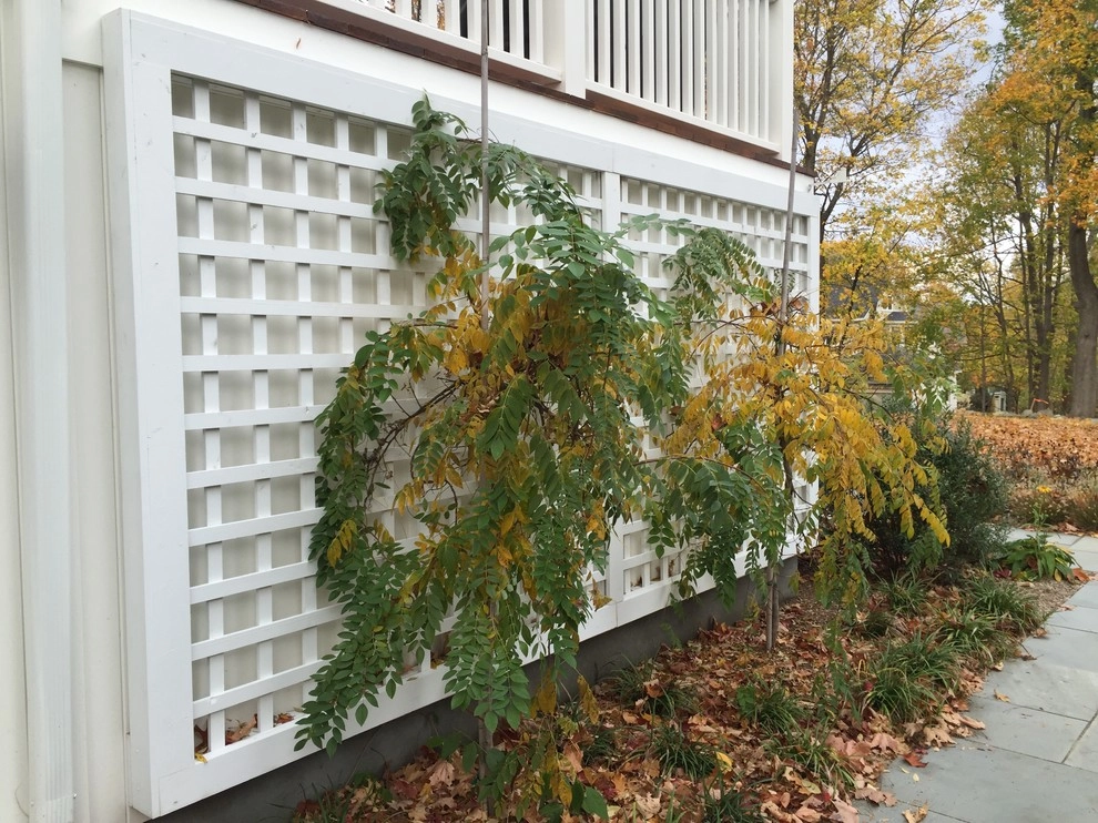 Belmont Family Home by Melissa MacDonald, Landscape Architect - Photo 5