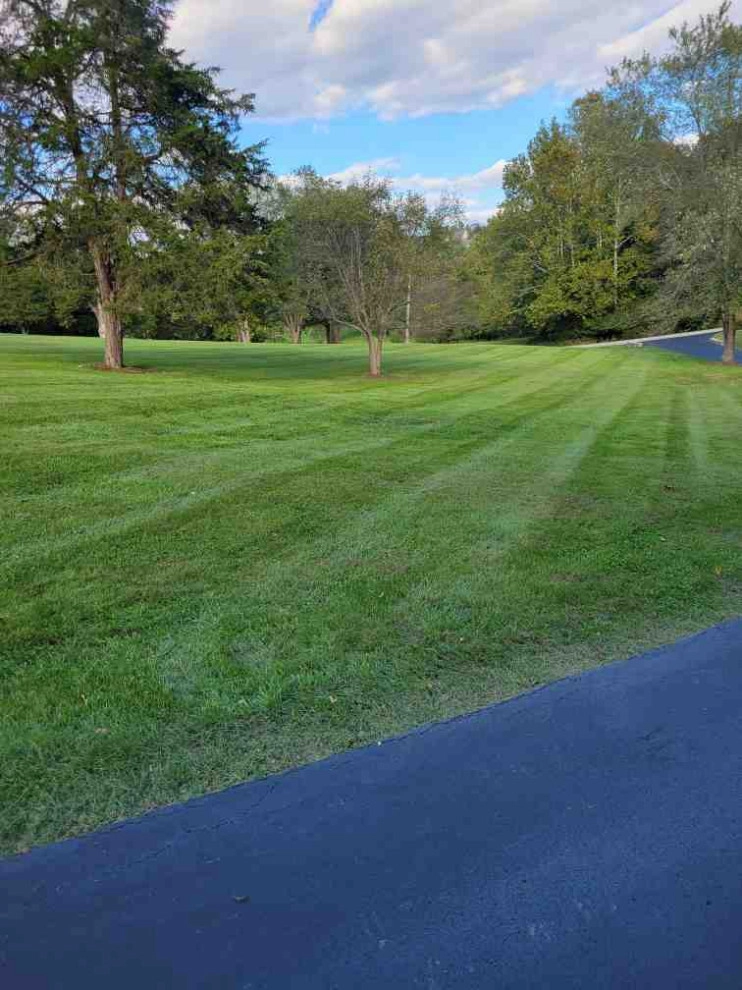 Alberto Alavez Professional Lawn Services LLC 6 by Alberto Alavez Professional Lawn Services LLC - Photo 8