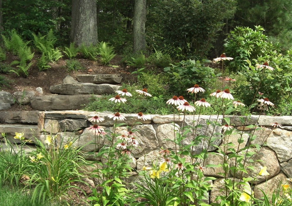 Lexington Woodside by Melissa MacDonald, Landscape Architect - Photo 3