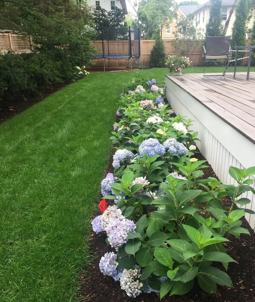 Halcyon by Melissa MacDonald, Landscape Architect - Photo 7