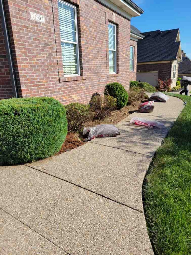 Alberto Alavez Professional Lawn Services LLC 6 by Alberto Alavez Professional Lawn Services LLC - Photo 23