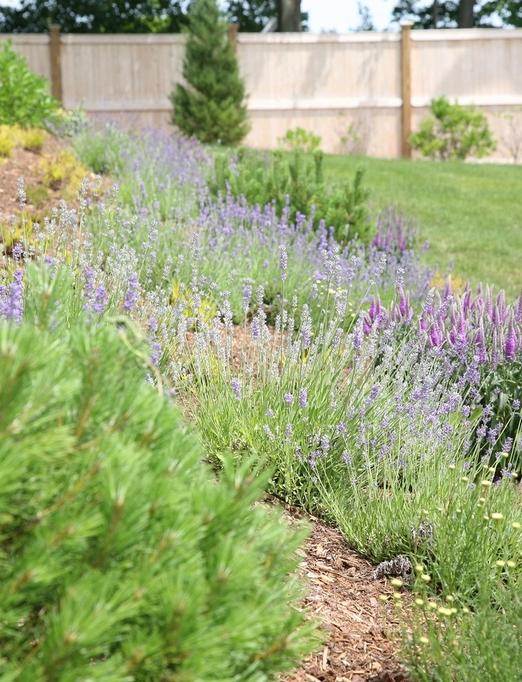 South Shore Waterfront Landscape by Melissa MacDonald, Landscape Architect - Photo 8