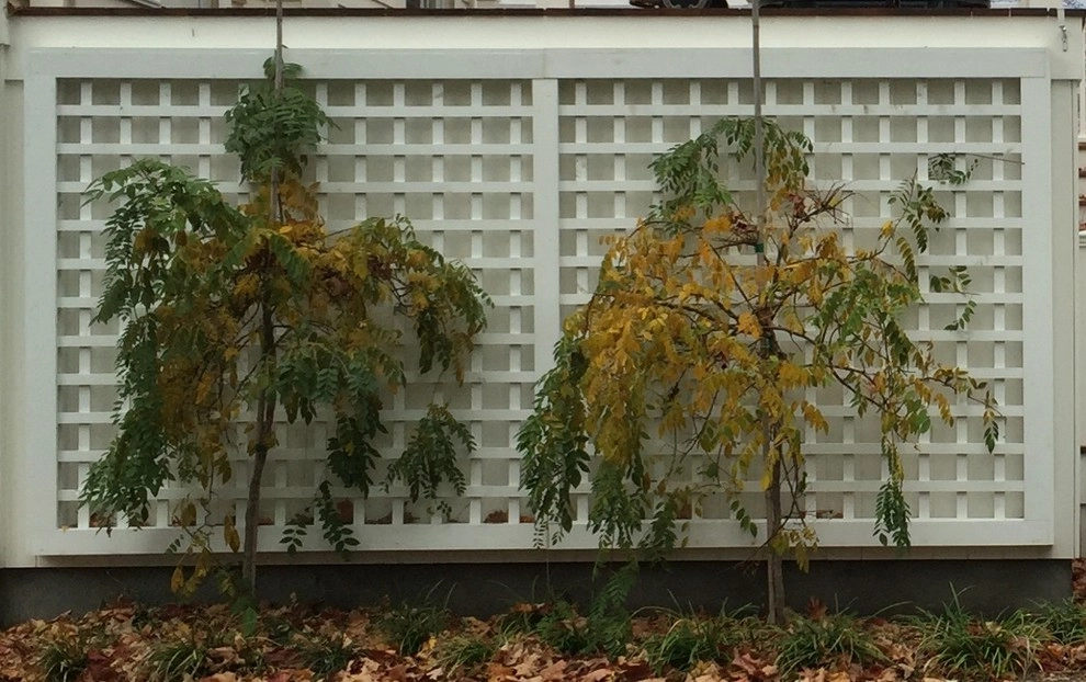 Belmont Family Home by Melissa MacDonald, Landscape Architect - Photo 9