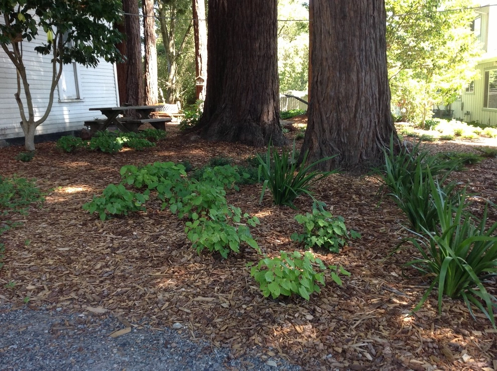 sebastopol forest by Merge Studio - Photo 3
