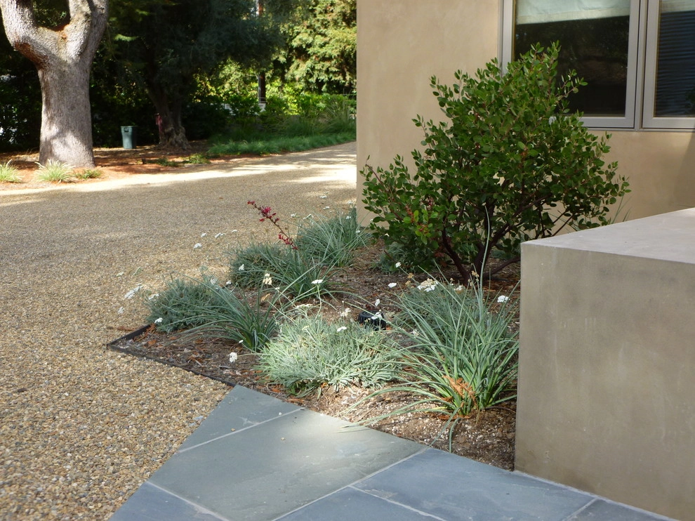 sonoma modern by Merge Studio - Photo 10