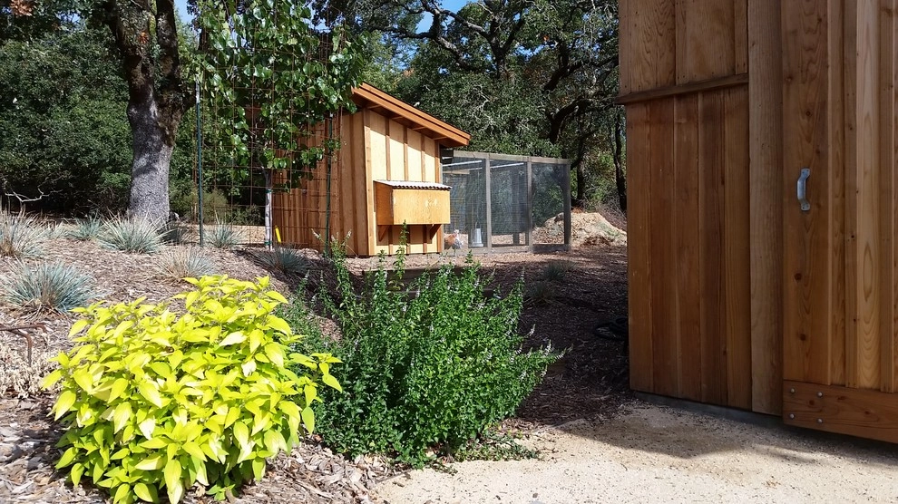 farm-to-table country garden by Merge Studio - Photo 2