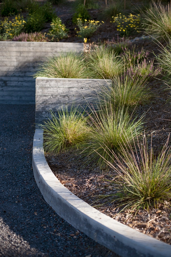 Merge Studio - Photo 2