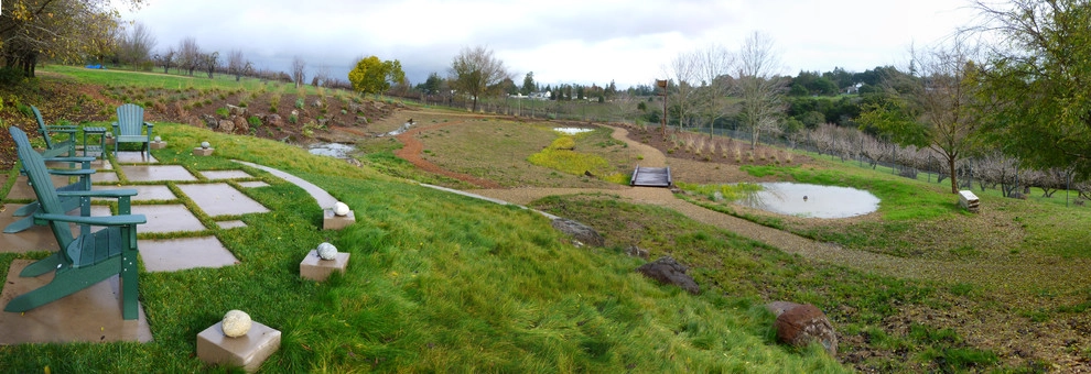 west county rain garden & meadow by Merge Studio - Photo 5