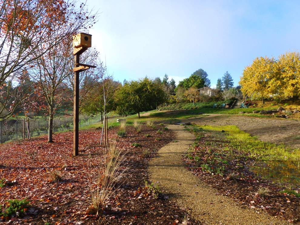 west county rain garden & meadow by Merge Studio - Photo 3