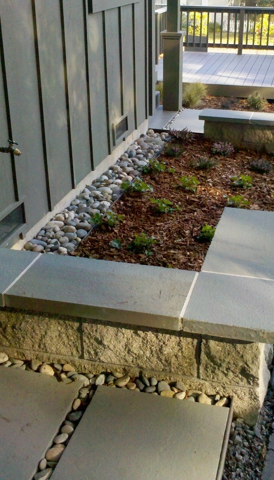 sebastopol forest by Merge Studio - Photo 4