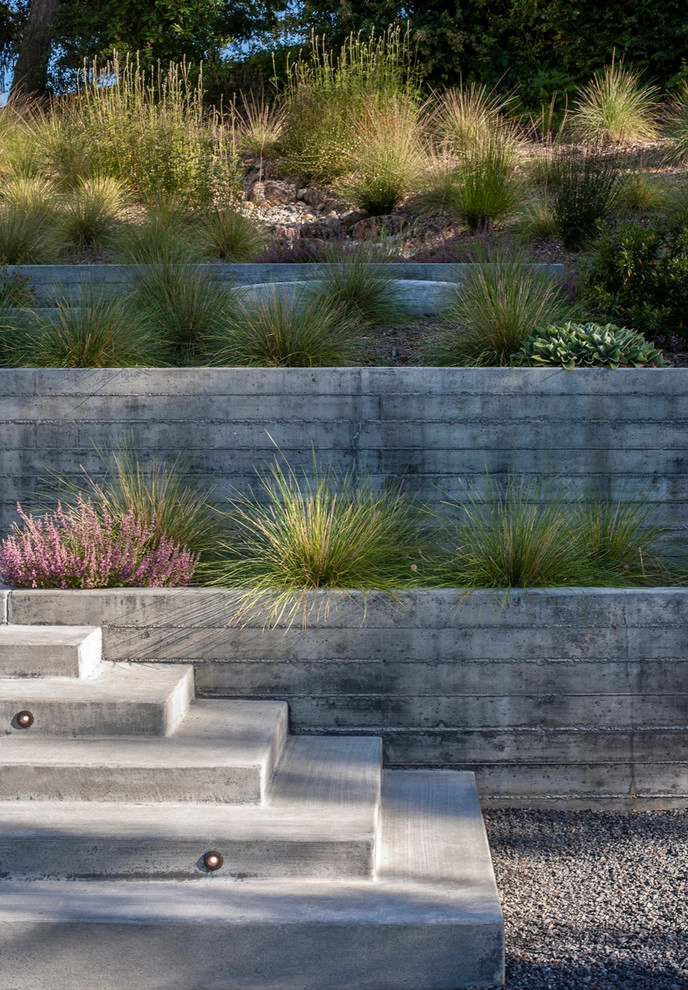 sebastopol hillside home by Merge Studio - Photo 5