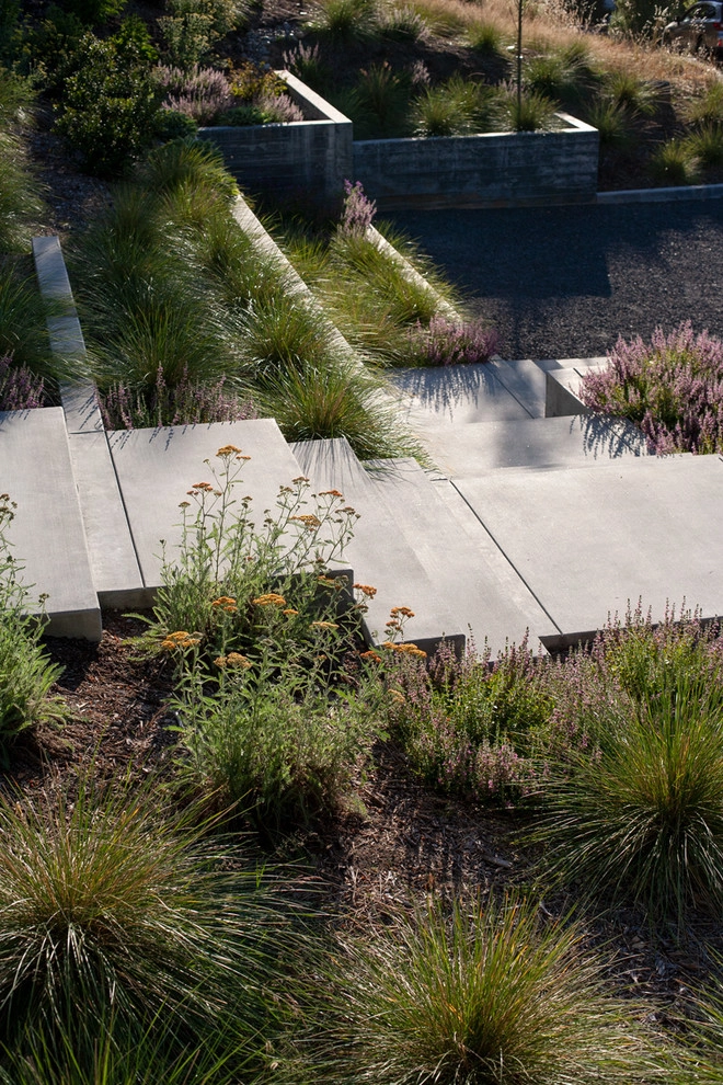 sebastopol hillside home by Merge Studio - Photo 6