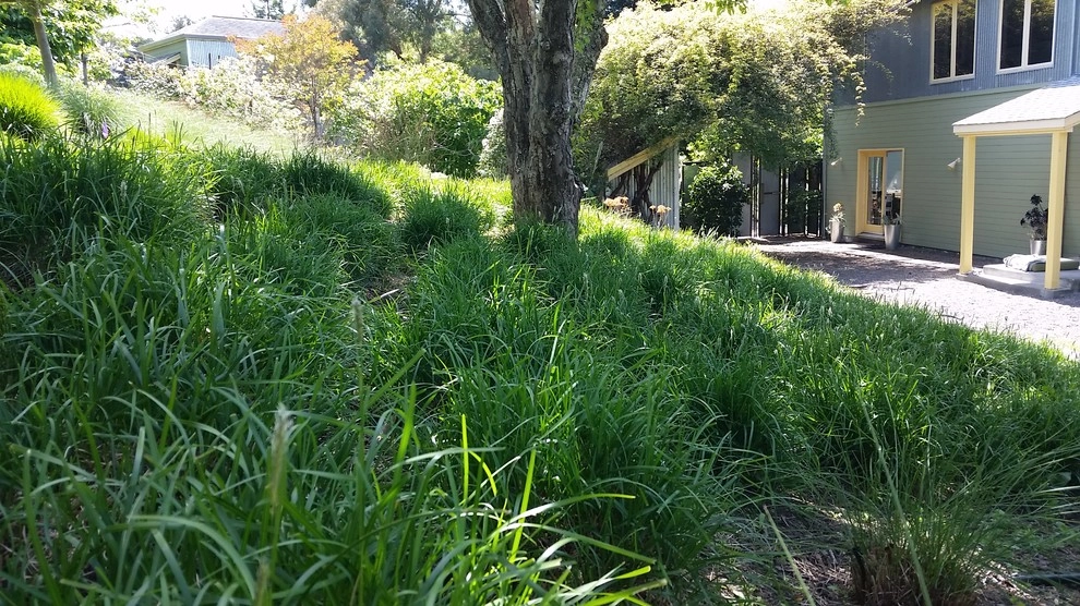 meadow meets modern by Merge Studio - Photo 2