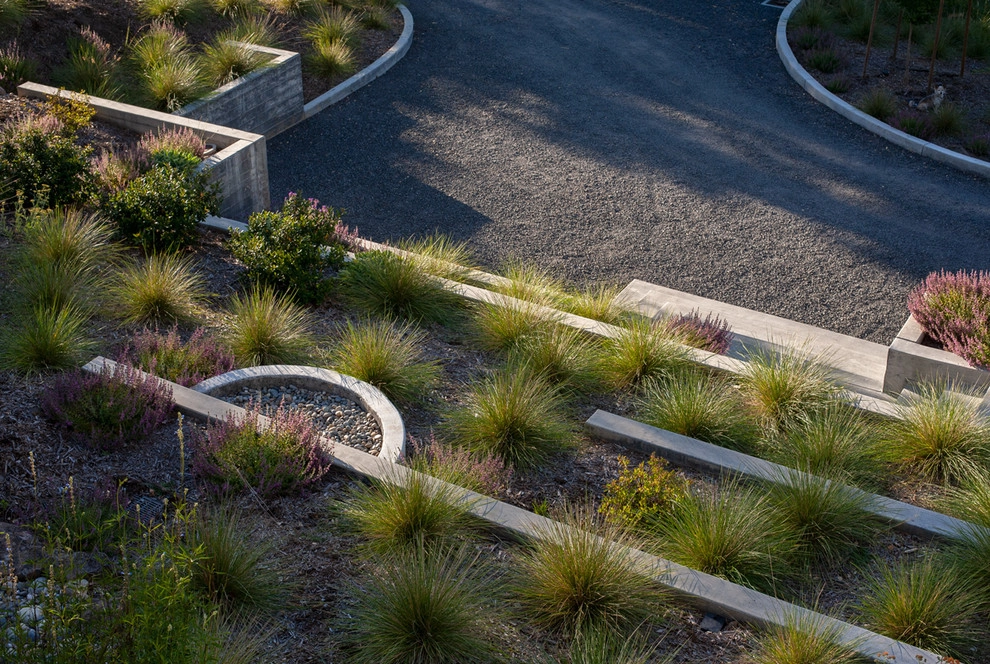 sebastopol hillside home by Merge Studio - Photo 7